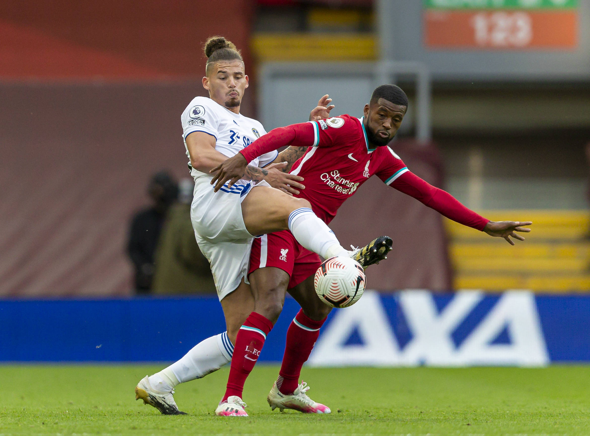 很好地适应 很好地适应